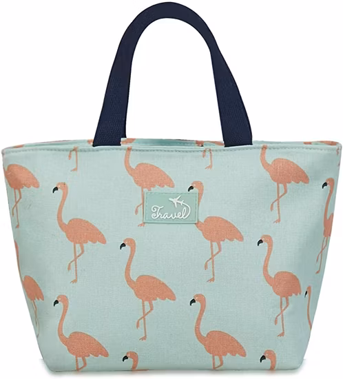 여자를위한 절연 점심 가방 어린이 점심 가방 핸드백 야외 학교 사무실 여행을위한 열 쿨러 가방